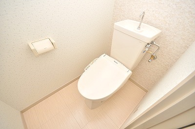 Toilet. Warm water washing toilet seat