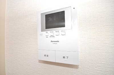 Security. Monitor with intercom