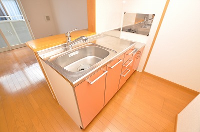 Kitchen. The kitchen is you can use the gas stove