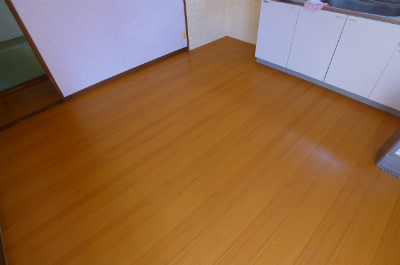 Living and room. Living