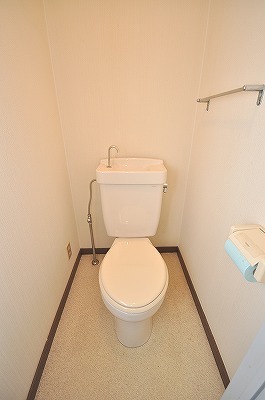 Toilet. Western-style toilet