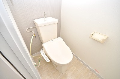 Toilet. Warm water washing toilet seat