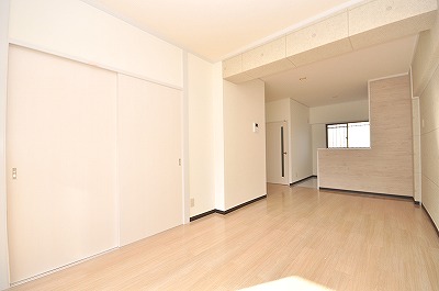 Living and room. Bright living room with two-sided lighting