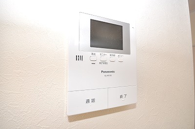 Security. Monitor with intercom