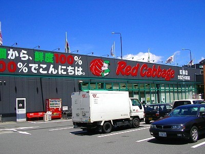 Supermarket. Red cabbage Hongmei store up to (super) 900m