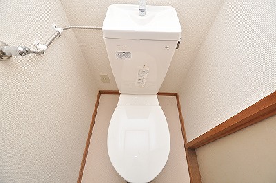 Toilet. Toilet