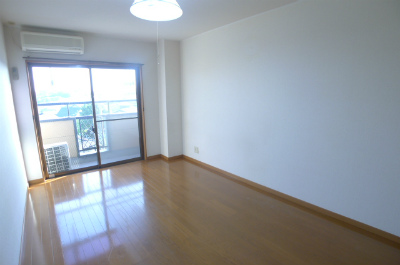 Living and room. Living