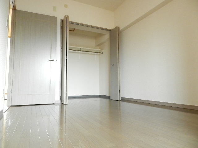 Other room space. There is a walk-in closet! 