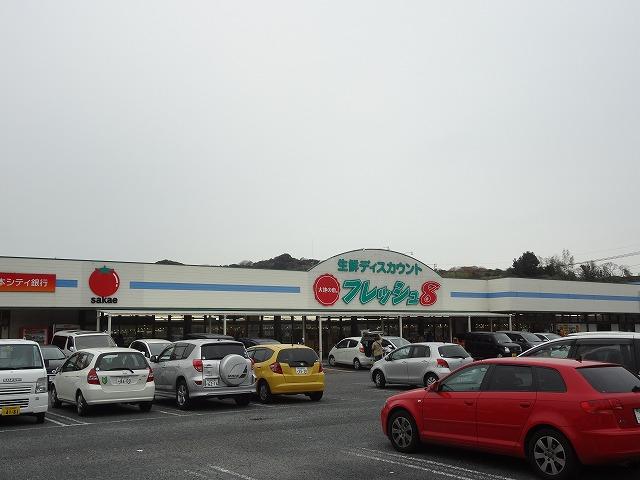 Supermarket. To fresh 8 6461m