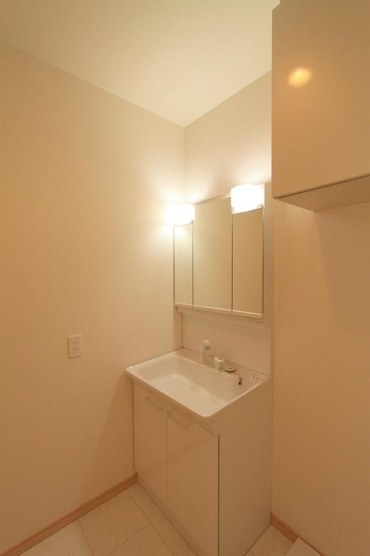 Wash basin, toilet. 2013 November 5 shooting