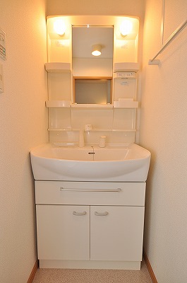 Washroom. Bathroom Vanity