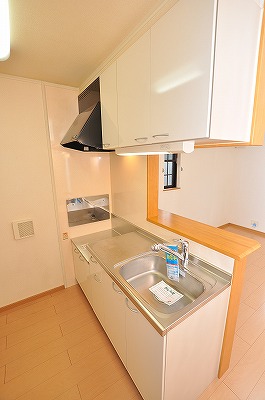 Kitchen. Gas stove can be installed.