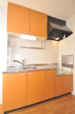Kitchen. Gas stove can be installed with grill.