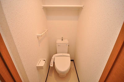 Toilet. Warm water washing toilet seat