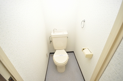 Toilet. Same type inversion type