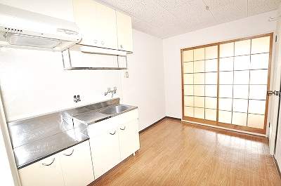 Living and room. Spacious kitchen space