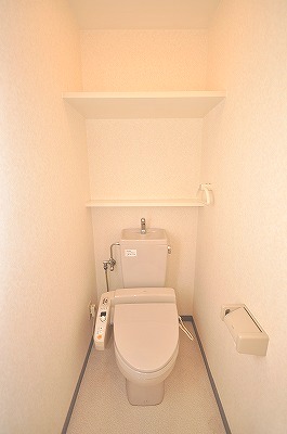 Toilet. Warm water washing toilet seat