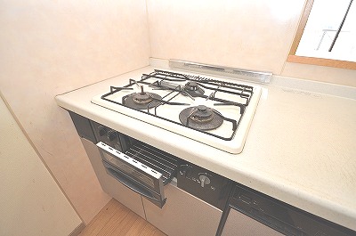 Other Equipment. It comes with a gas stove and grill! !