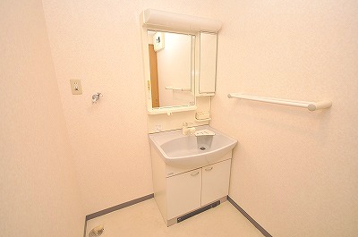 Washroom. The dressing room every indoor washing machine and shampoo dresser