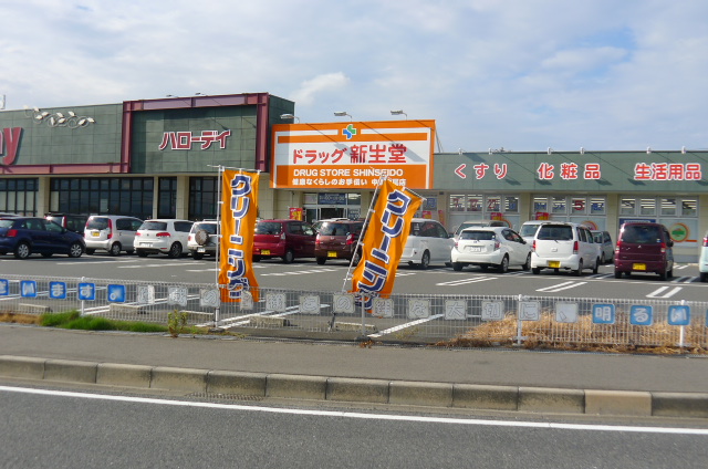 Dorakkusutoa. Drag Shinseido intermediate Nakao shop 1269m until (drugstore)