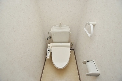 Toilet. Warm water washing toilet seat