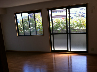 Living and room. Living