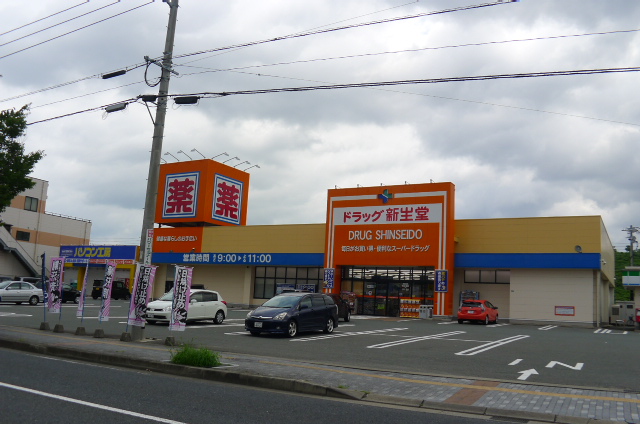 Dorakkusutoa. Drag Shinseido Einomaru shop 1053m until (drugstore)