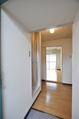 Entrance. The view from the front door