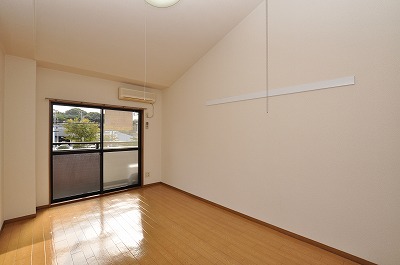 Living and room. Bright Western-style