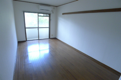 Living and room. Living