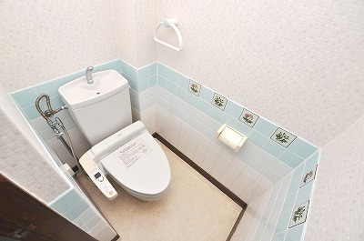 Toilet. Warm water washing toilet seat