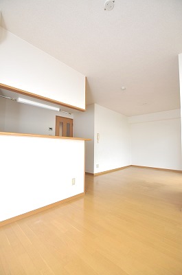 Living and room. Spacious LDK