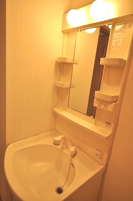 Washroom. Bathroom Vanity