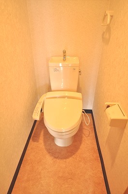 Toilet. Warm water washing toilet seat