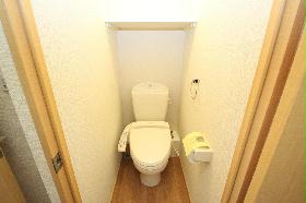 Toilet. With warm water washing toilet seat
