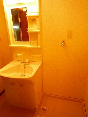 Washroom. Dressing room