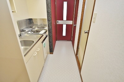 Entrance. The view from the front door.