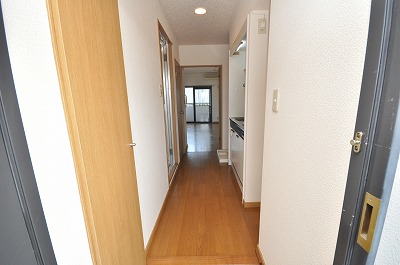 Entrance. The view from the front door