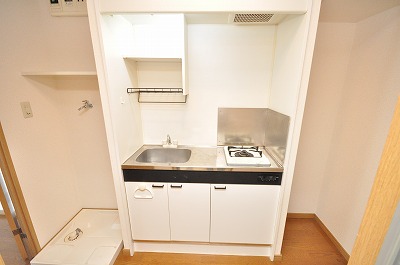 Kitchen. The kitchen is equipped with a 1 lot gas stoves