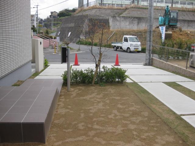 Local photos, including front road