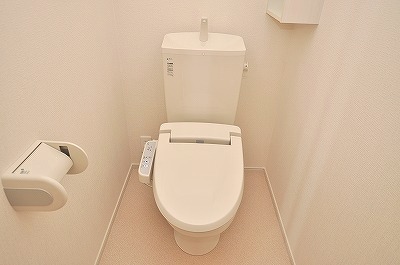 Toilet. Warm water washing toilet seat