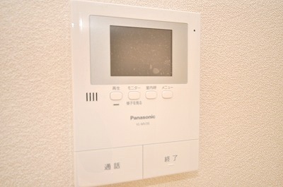 Security. Monitor with intercom