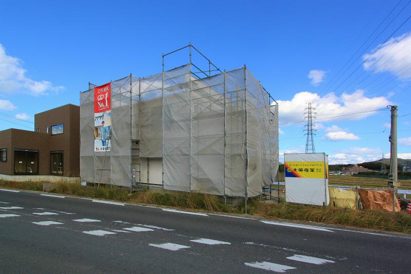 Local photos, including front road. 2013 November 26, shooting