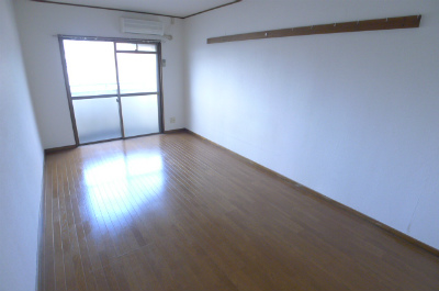 Living and room. Living