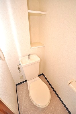 Toilet. Restroom with a shelf