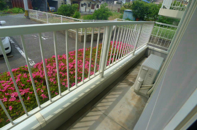 Balcony. Veranda