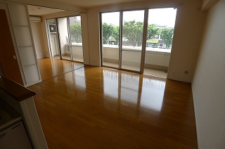 Living and room. Living