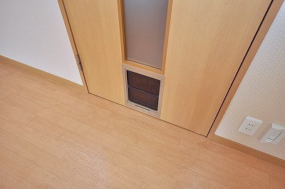 Other Equipment. There is also a pet for doorway ☆