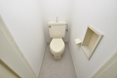 Toilet. Toilet