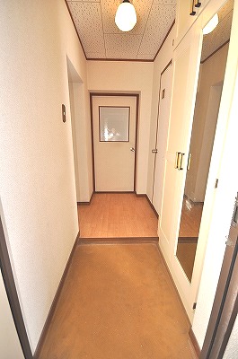 Entrance. The view from the front door